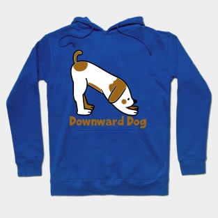 Downward Dog Hoodie